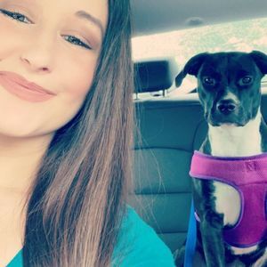 Meet your Posher, Mani